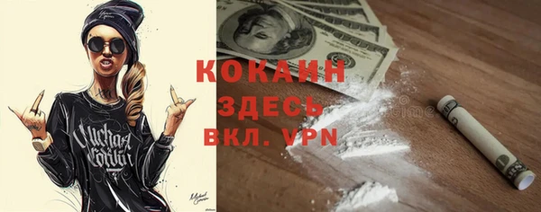 гидра Бородино