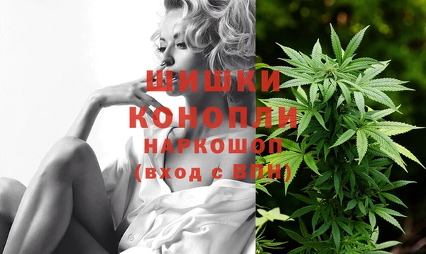 гидра Бородино