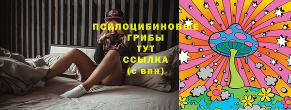apvp Богданович