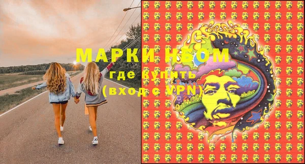 apvp Богданович