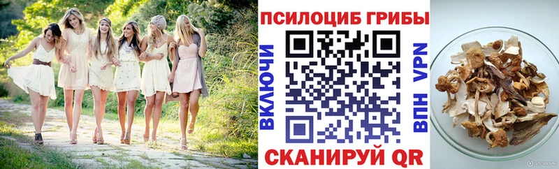 что такое   Ядрин  Галлюциногенные грибы MAGIC MUSHROOMS 